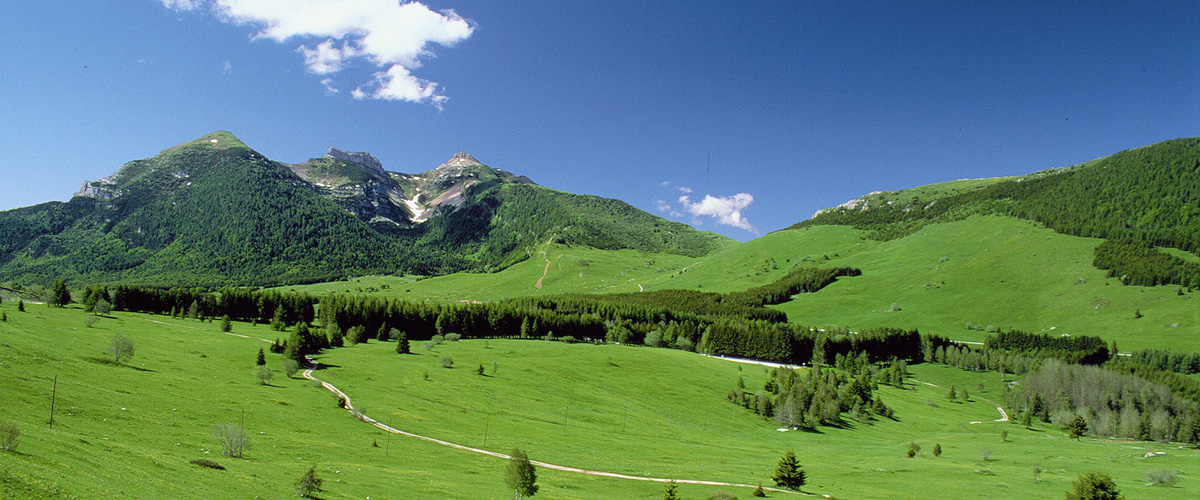 Vista dal Monte Bondone
